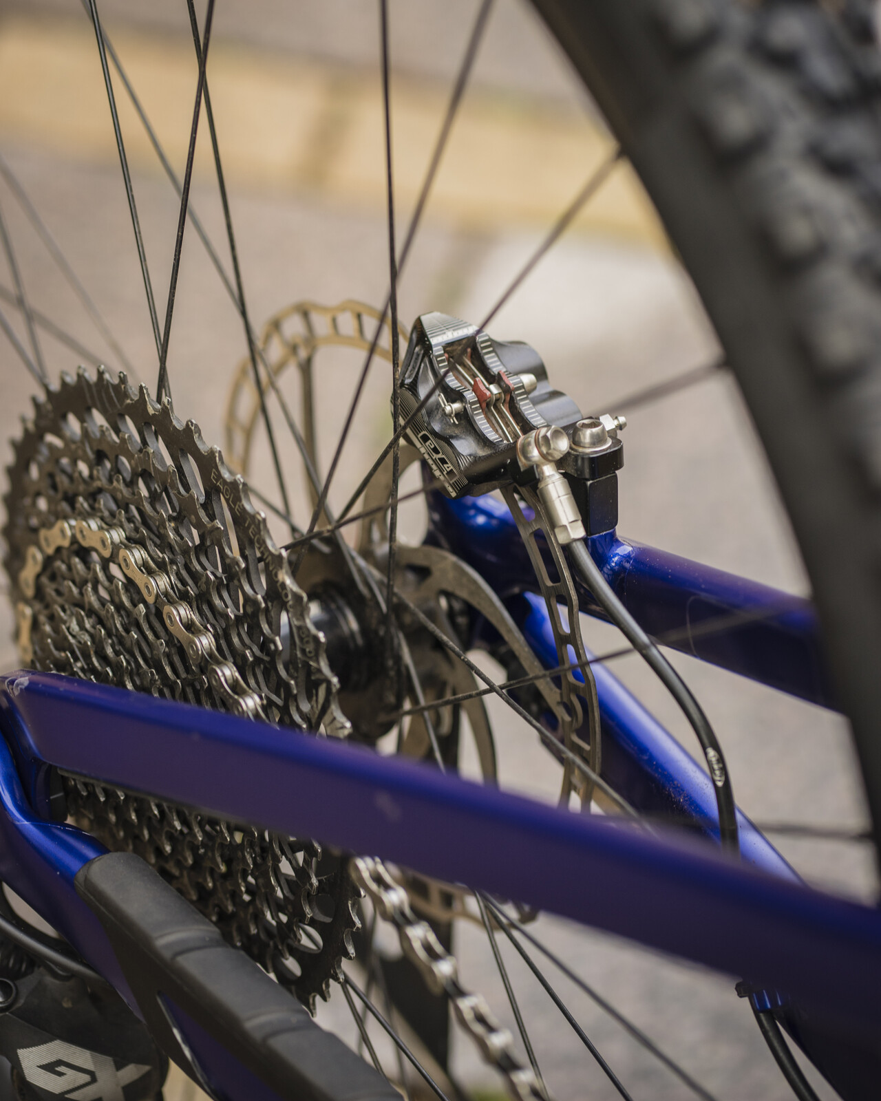 DSC02855 - Trek Fuel EXe 9.5 custom